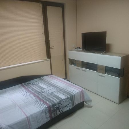 Studio Iren Apartment Pleven Exterior photo